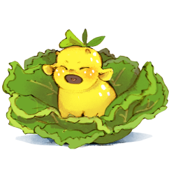 Baby Lemon Lettuce